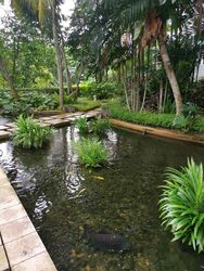 The Marbella (D10), Condominium #503920461